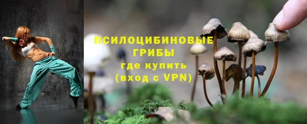прущие крисы Арсеньев