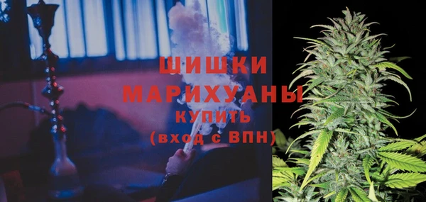 прущие крисы Арсеньев