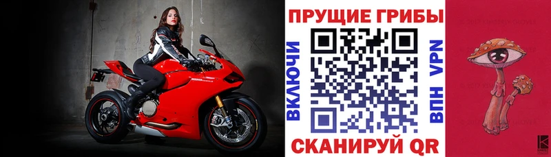 Псилоцибиновые грибы мухоморы  mega онион  Пенза  где можно купить наркотик 